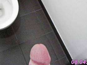 Ladies toilet fully waxed and dreamed of splashing on the hairy plum