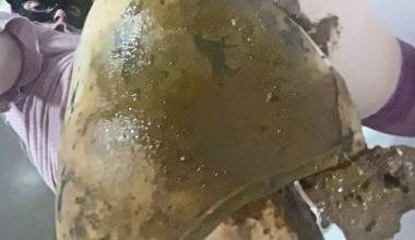 Massive Shit Panty Ruined