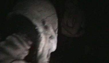 Halloween 2011
