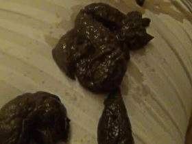 Vorschaubild vom Privatporno mit dem Titel "Sklavensau vollgeschissen und vollgepisst" von Sue-Allen