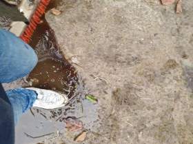 Princess plays with sports shoes of her girlfriend in stinkige puddle