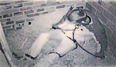 24/7 - Es gibt kein Entkommen! 