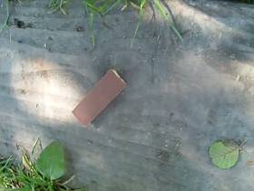 outdoor pissing chocolate bar and trample