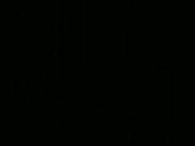 Public ins Maul GEPISST