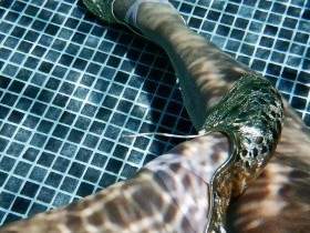 Ich gebe dir unter Wasser einen Footjob in Gymnastikschläppchen