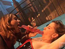 Vorschaubild vom Privatporno mit dem Titel "Versautes fotzenloch lecken" von sexysusanne