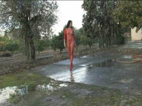 Piss im roten Netzanzug