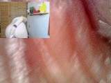 Stinkende Fürze mit medizinischem Endoskop