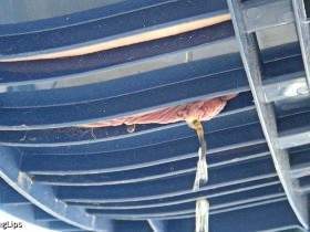 Vorschaubild vom Privatporno mit dem Titel "Pipi durch den Gartenstuhl" von SweetLongLips