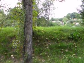 Sonntagsspaziergangspiss