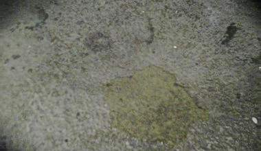 Versaute 9 mal Pisse