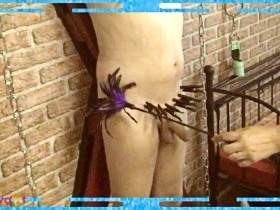 Ladyanna - der maskierte Sklave