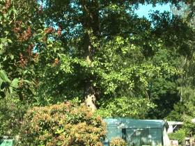 wonderful **** .....:-)