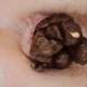 serve Doble Poop