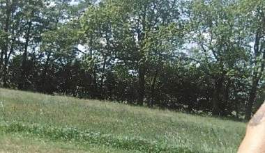 In die Wiese gepullert