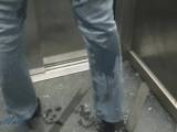 Piss in the elevator