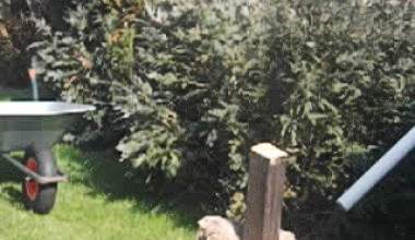 Allein und geil (outdoor)