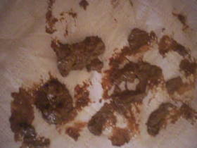 There was to lick