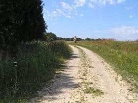 Pinkeln und Selfmade im Wald