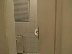 Hard dildo fucking on toilet