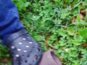 Empty the waste-water tank from the motorhome