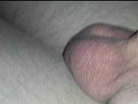 Penis