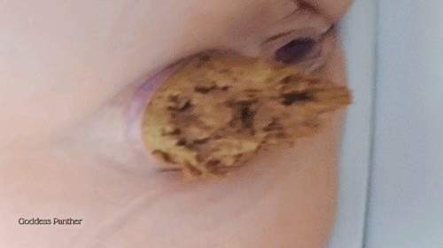 Worship Goddess Shit