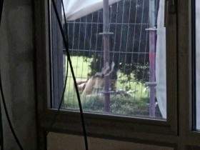 DER SPANNERFICK ZUHAUSE