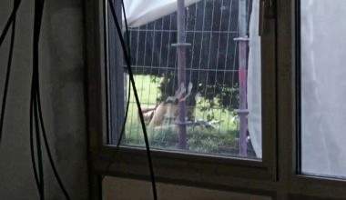 DER SPANNERFICK ZUHAUSE