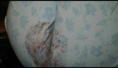 Blaue Blumen Hosen Messy