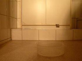 Diarrhea Suppiger in the box