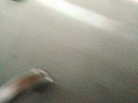 RASTHOF KLO AUF DEN BODEN GEPISST