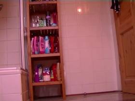 Shitting in the bathroom