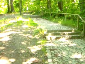 Emptied on parkway bladder