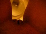 Pippi in the toilet