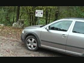 Vorschaubild vom Privatporno mit dem Titel "Auto Pissen" von extremgirl