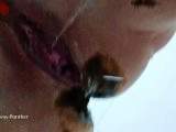 Huge Poop To Swallow