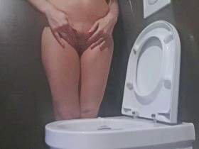 Pee geschlossene Toilette