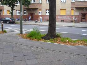 Berlin Schwanz raushängen lassen und satt pissen!(Public an der Hauptstrasse)