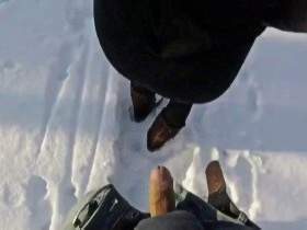 DEEP IN THE BLACK FOREST