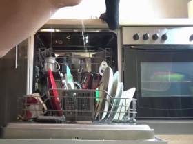 pissing in the dishwasher