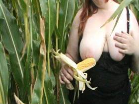 horny in the corn field