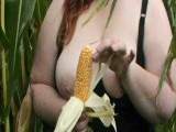 horny in the corn field