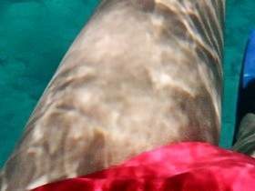 POV: Unterwasser Finger in Po gesteckt