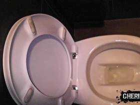 Vorschaubild vom Privatporno mit dem Titel "Sklandal: McDoof und der perverse Klo-Sklave" von CherieNoir