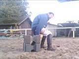 Dildo in the riding arena