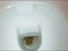 Toilet clogged