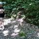 Sexy Outdoor Walking