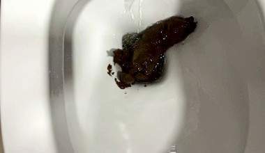 Long Hard Shit 4 U