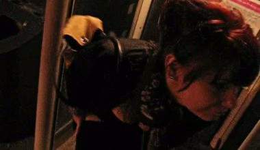 Telefonzelle mit Pisse veredelt